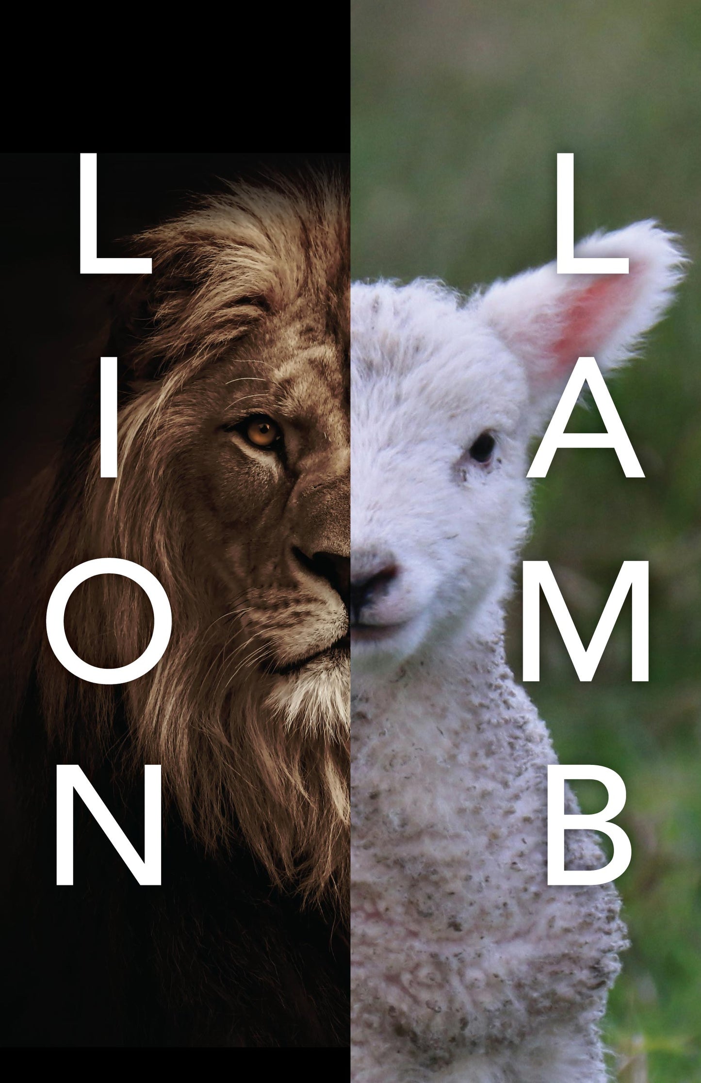 The Lion and The Lamb